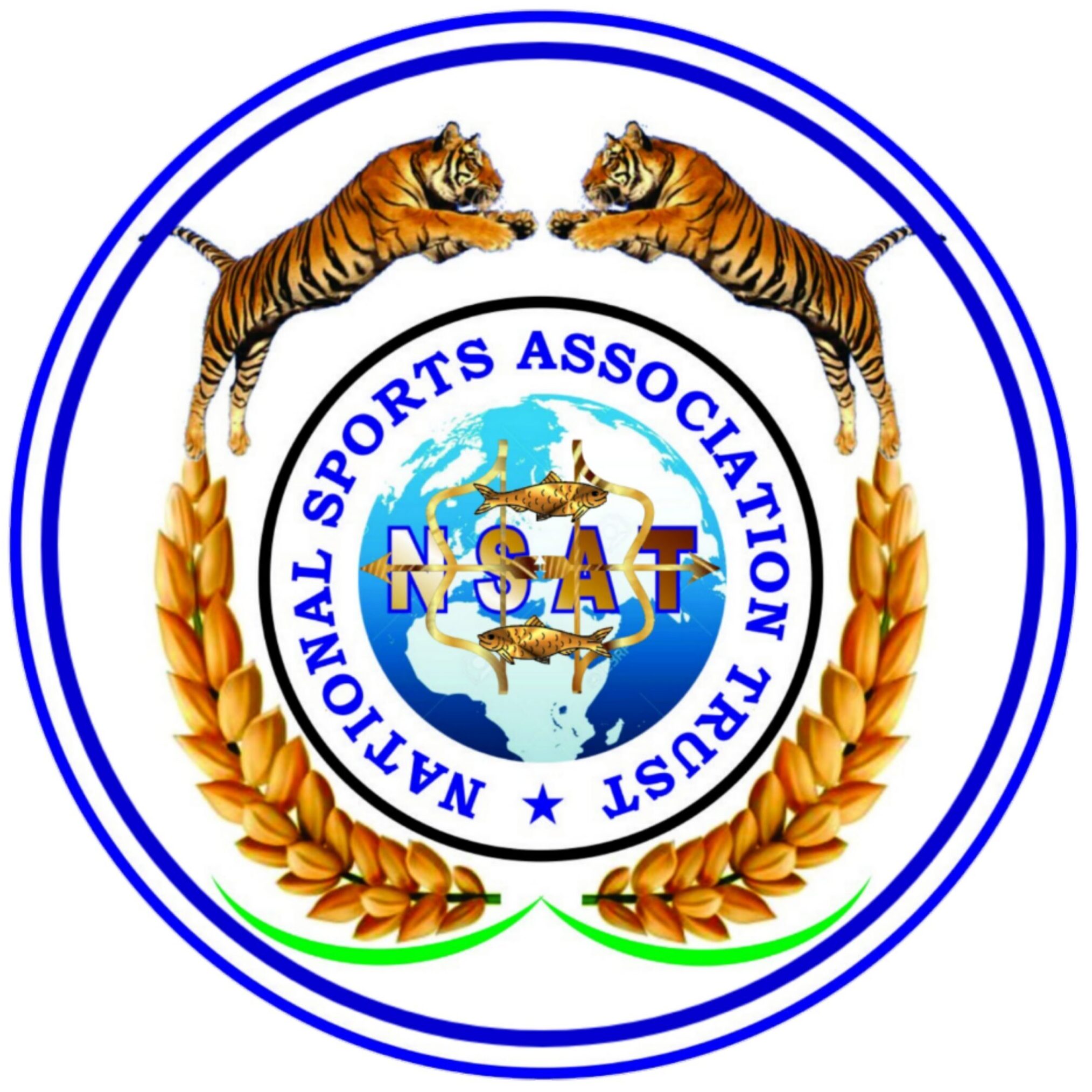 nationalsportsassociationtrust.com